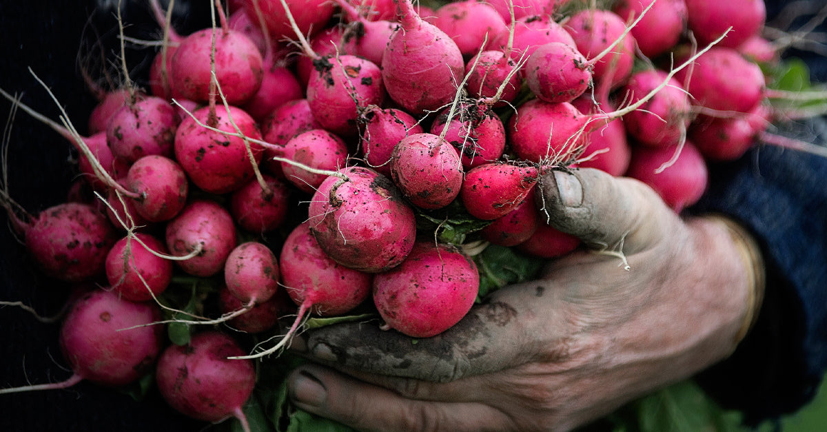 Untamed Earth Organic Farm