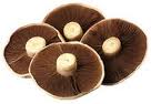 Organic Portobello Mushrooms! 400g