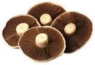 Load image into Gallery viewer, Organic Portobello Mushrooms! 400g
