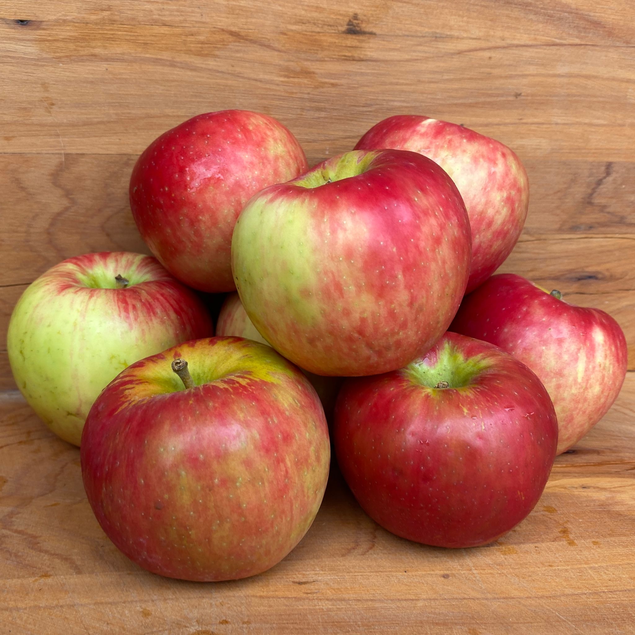 Apples - New Season Mixed  1kg
