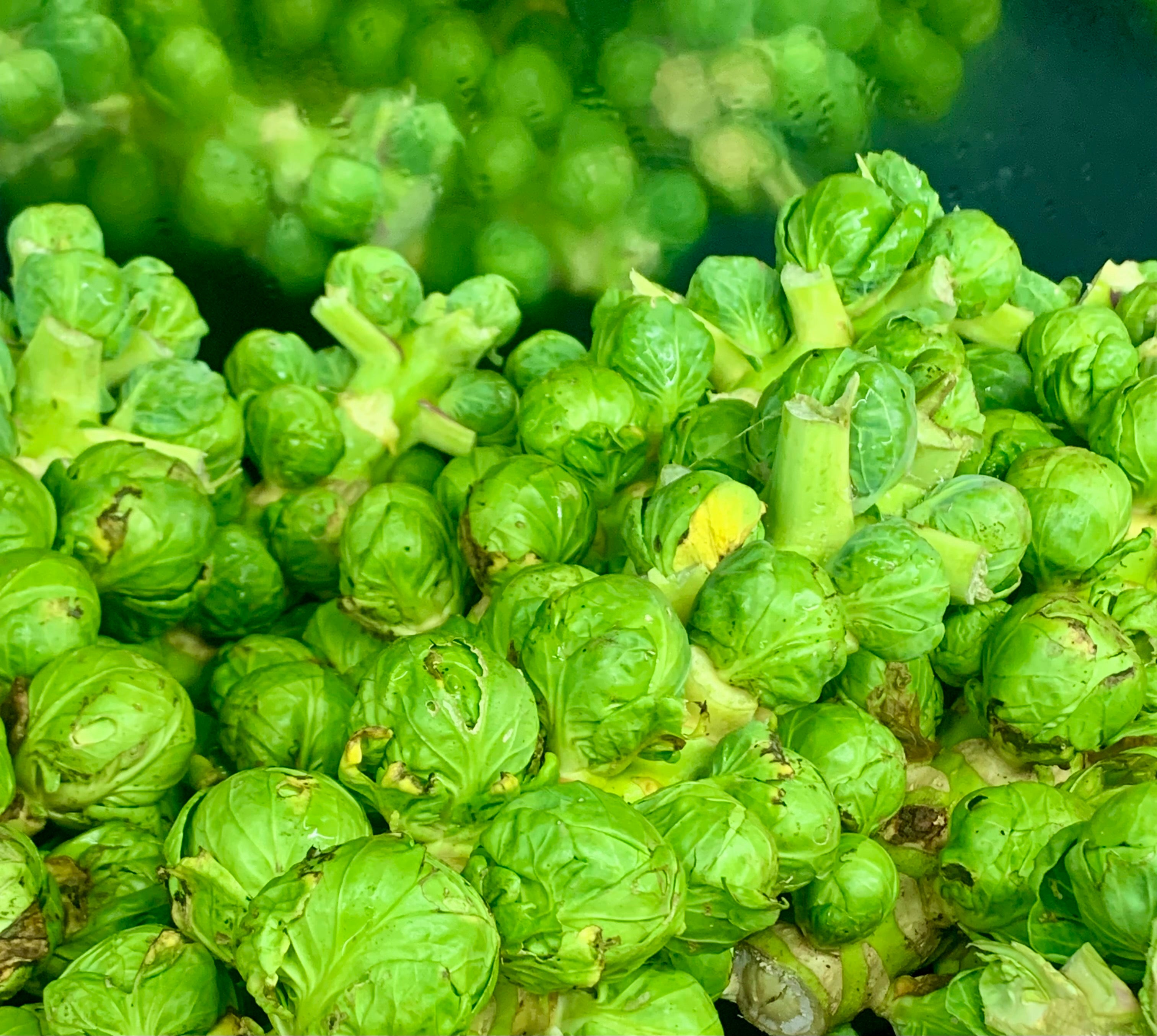 Brussels Sprouts