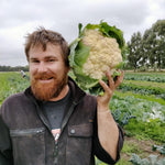Load image into Gallery viewer, Cauliflower 2 for $8.99
