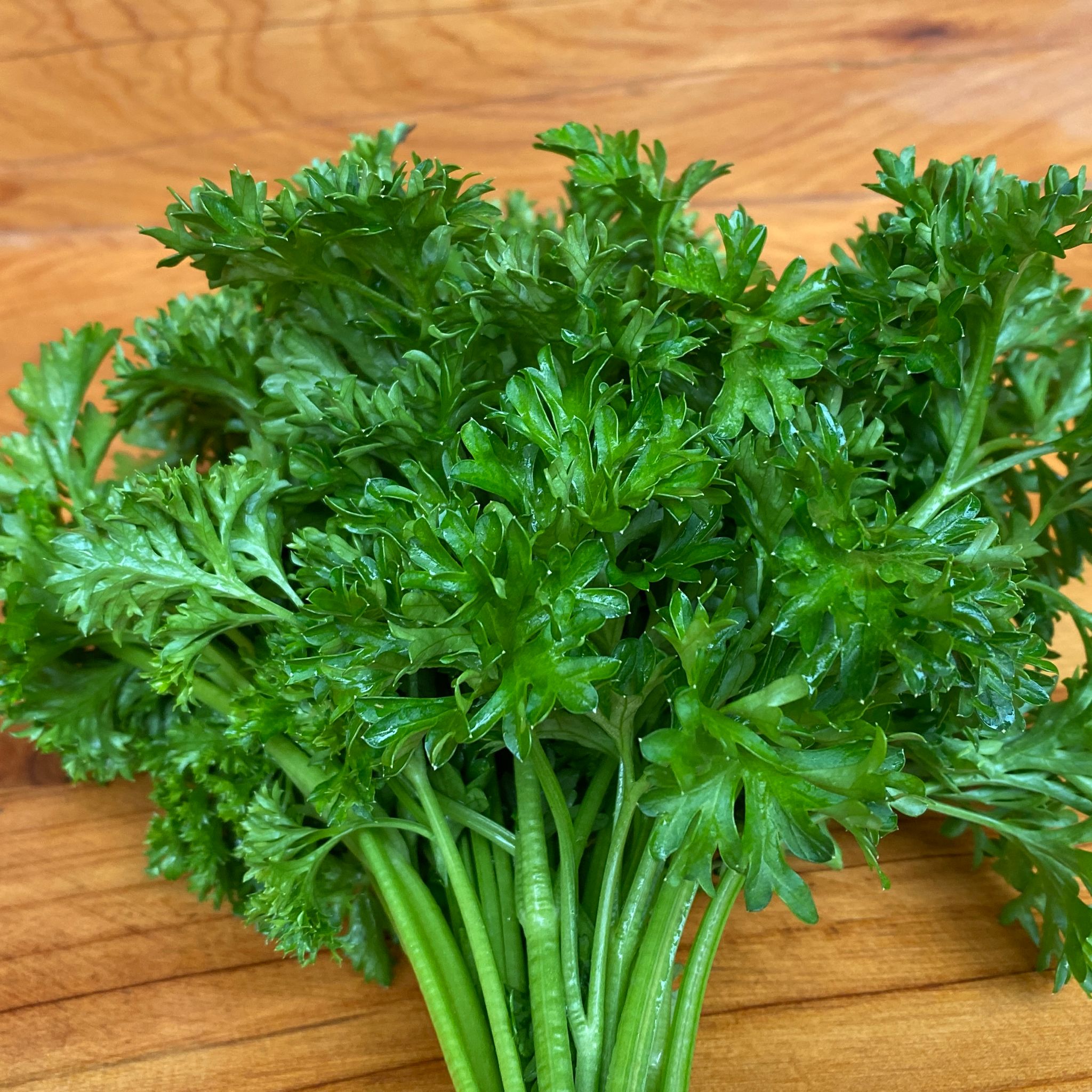 Parsley Bunch Curly