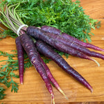 Load image into Gallery viewer, Purple Carrots
