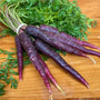 Purple Carrots Bunched