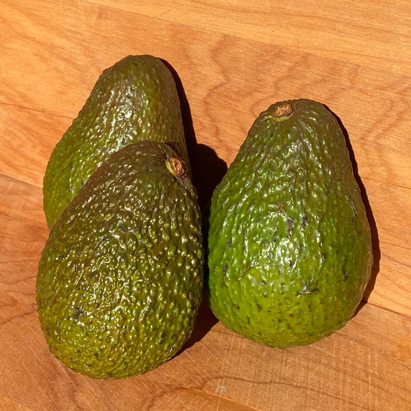 WhatsAppImage2023-08-22at1.02.