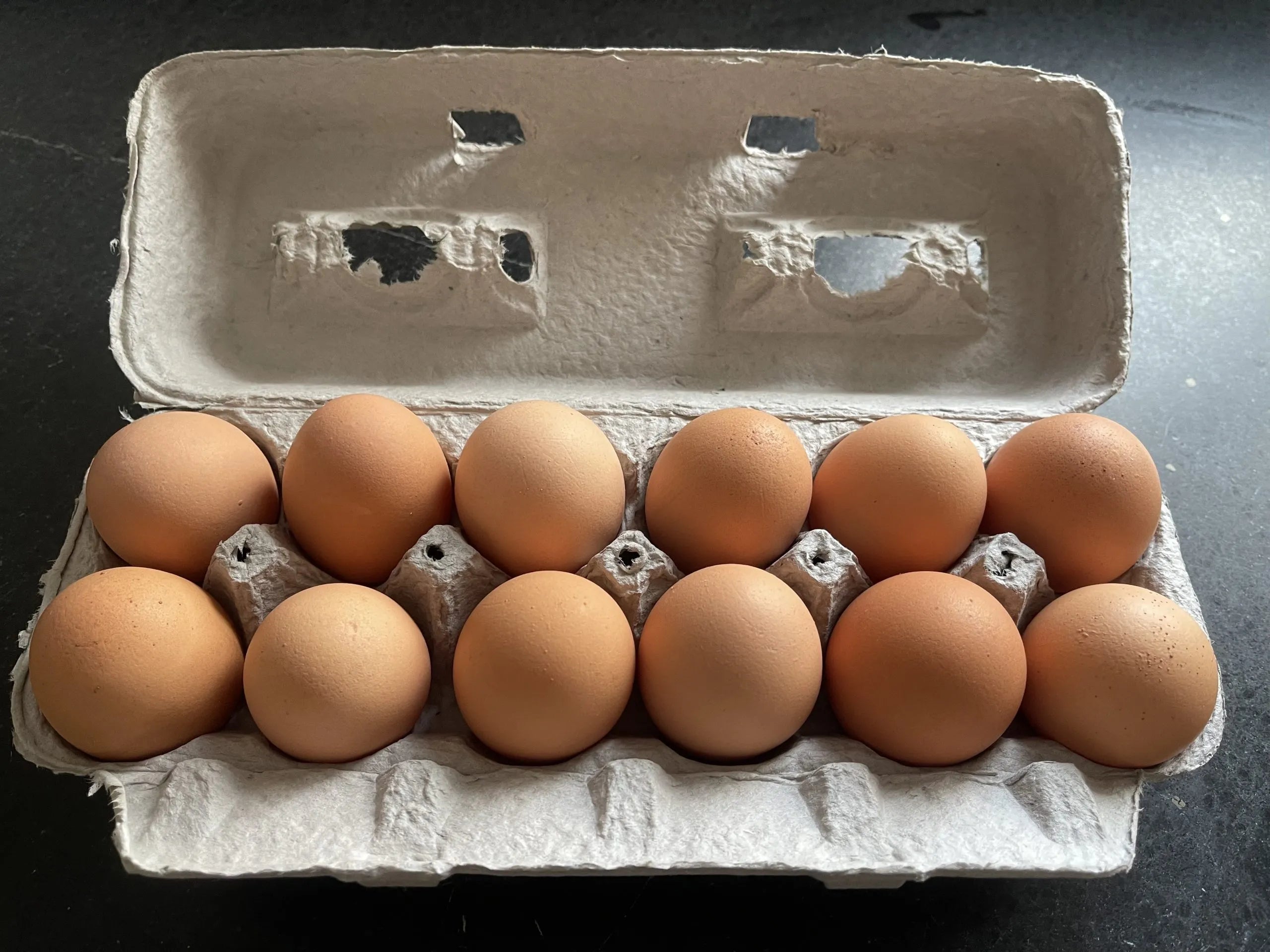 Eggs Organic, Free Range & Pasture Raised