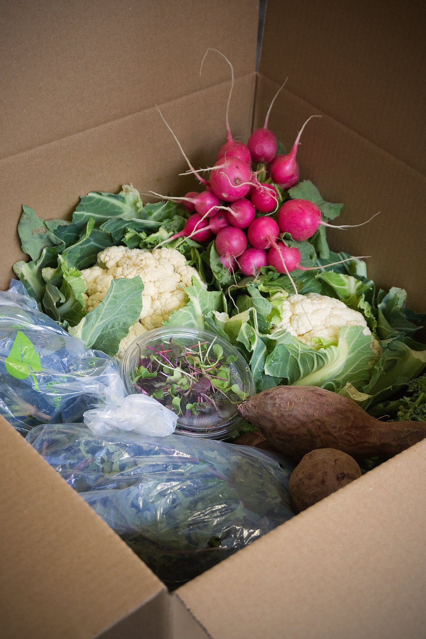 The Classic Fruit and Vege Box, one time or weekly subscription
