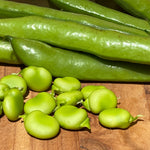 Load image into Gallery viewer, Broad Beans 750g
