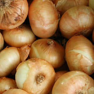 Organic Brown Onions 1.5kg