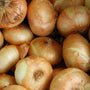 Organic Brown Onions 500g