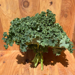 Load image into Gallery viewer, Curly Kale
