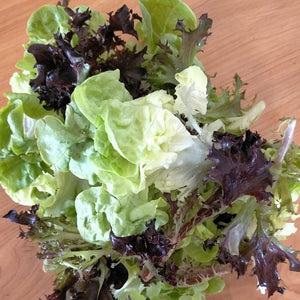 Organic lettuce mix - Untamed Earth