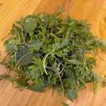 Load image into Gallery viewer, Kale Baby Bag (SF)
