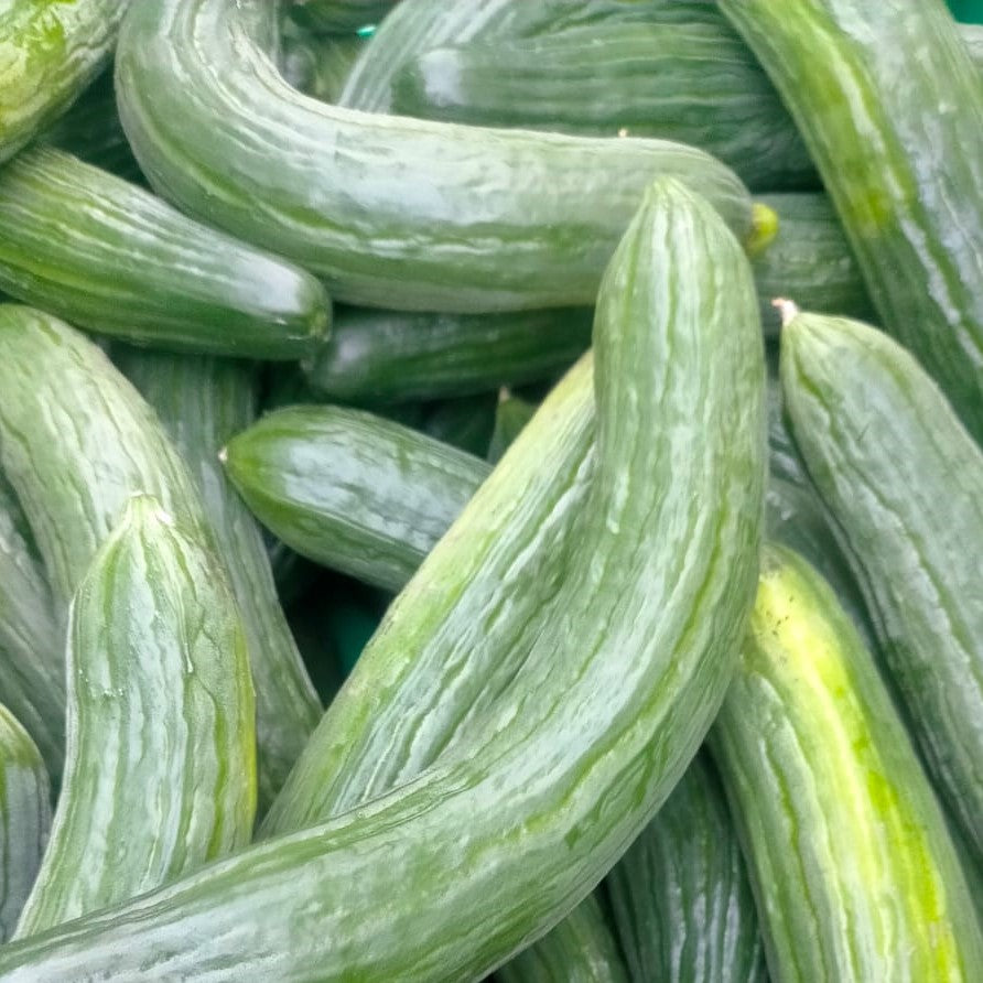 Telegraph Cucumbers