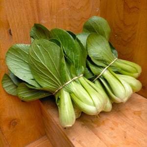 Pak Choi