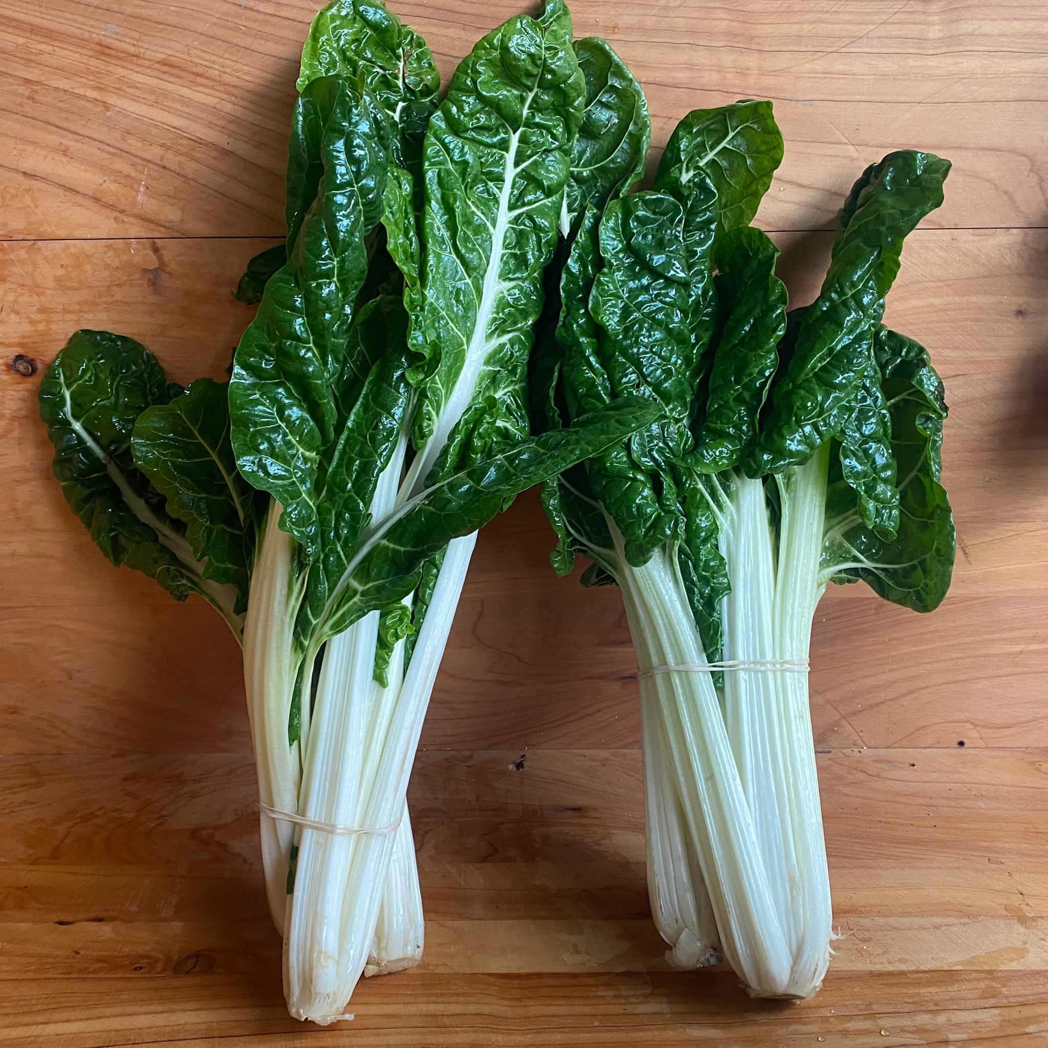 Silverbeet 2 for $6.50