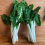 Silverbeet 2 for $7.99