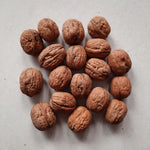 Load image into Gallery viewer, walnuts - Untamed Earth
