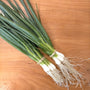 Organic spring onion - Untamed Earth