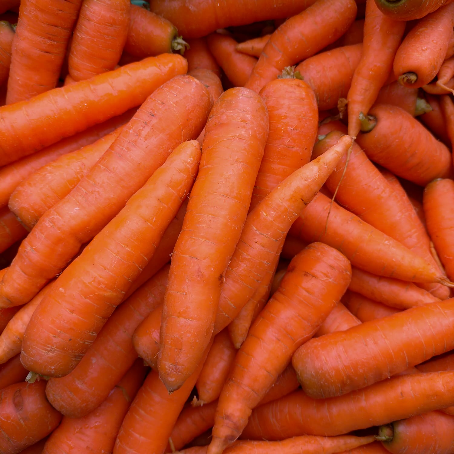 Table Carrots 5kg