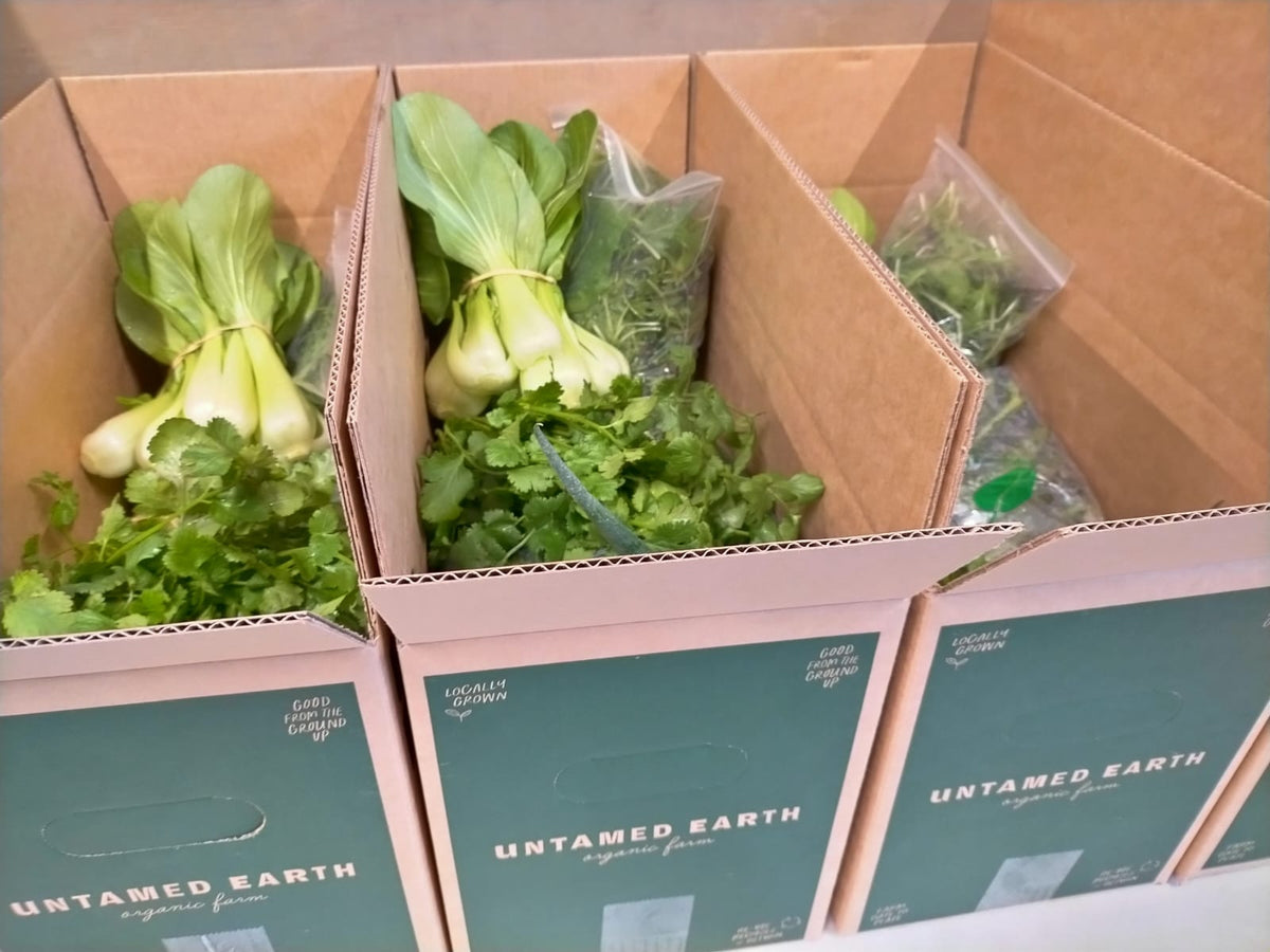 Organic Veggie Box | The Classic Box – Untamed Earth Organic Farm