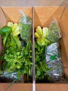 The Classic Vege Box, one time or weekly subscription