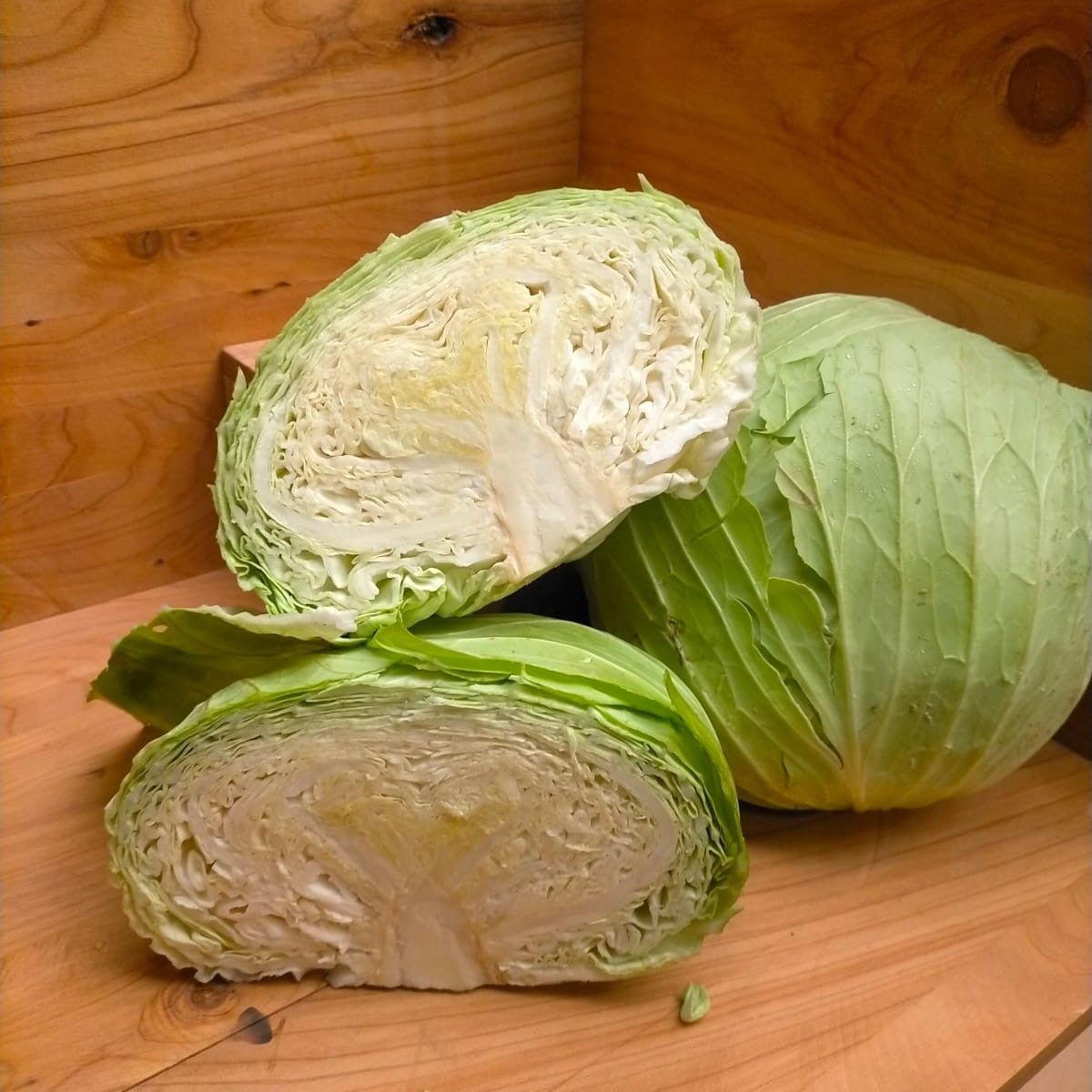 Green Cabbage Half