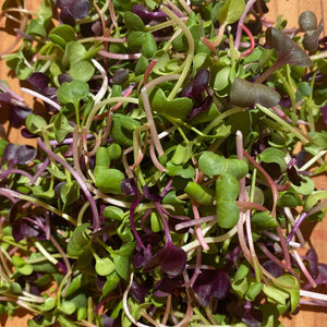 Microgreens