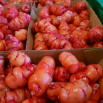 Load image into Gallery viewer, Organic Yams - Untamed Earth
