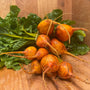 Golden Beetroot Bunched